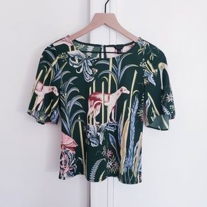 Ann Taylor Greyhound Spoonbill Botanical Top